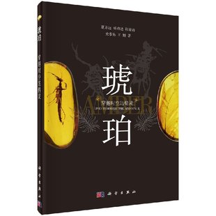 穿越时空 琥珀 精灵 夏方远 社 等科学出版 按需印刷