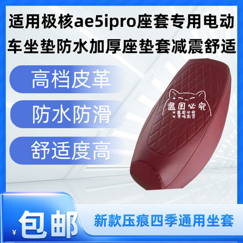 适用极核ae5ipro座套专用电动车坐垫防水加厚座垫套减震舒适