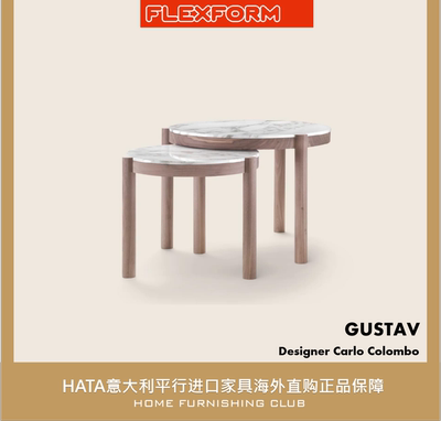 Flexform大理石板木现代茶几