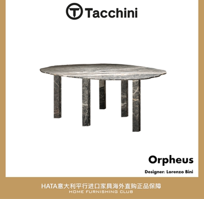 Tacchini桌子进口意大利异形