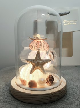 海南青岛文创海胆充电小夜灯北海贝壳手工艺品北海三亚旅游纪念品