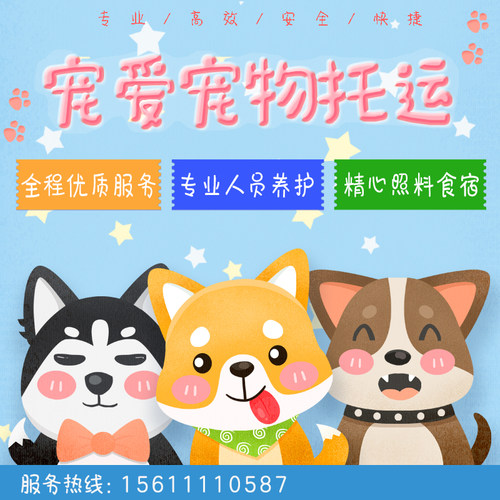 深圳检疫证代办全国连锁宠物托运
