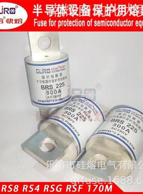 旋转熔断器CZ225 300A380VAC 发电机励磁 离心机BRS225 300A380V