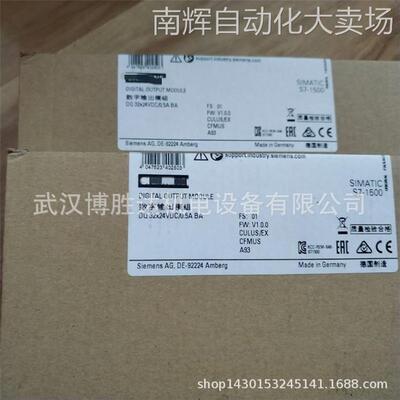 6ES7132-4BD00-0AB0 S7-100系列 数字模块 6ES71324BD000AB0 现货