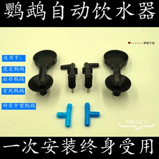 全自動 M型布局 鸚鵡 全新 飲水器 繁殖戶 單邊 飲水頭