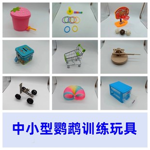 鹦鹉站架智力玩具大全训练道具套圈石磨自行车平衡车篮球架存钱罐