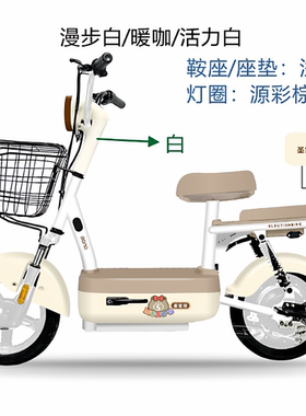 武汉圣宝龙电动车新新国标（大金龙）石墨烯电池超长续航可上白牌