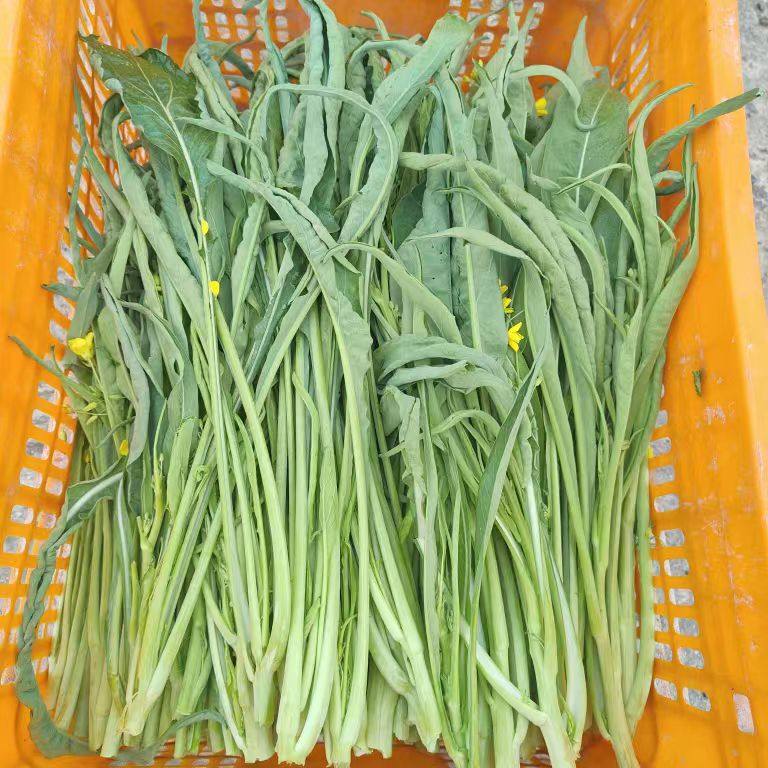 广西桂林柳叶菜花甜菜花新鲜蔬菜三月花菜心菜苔3斤包邮,水产肉类/新鲜蔬果/熟食,叶菜类,淘宝优惠券,粉丝福利购,淘宝优惠卷