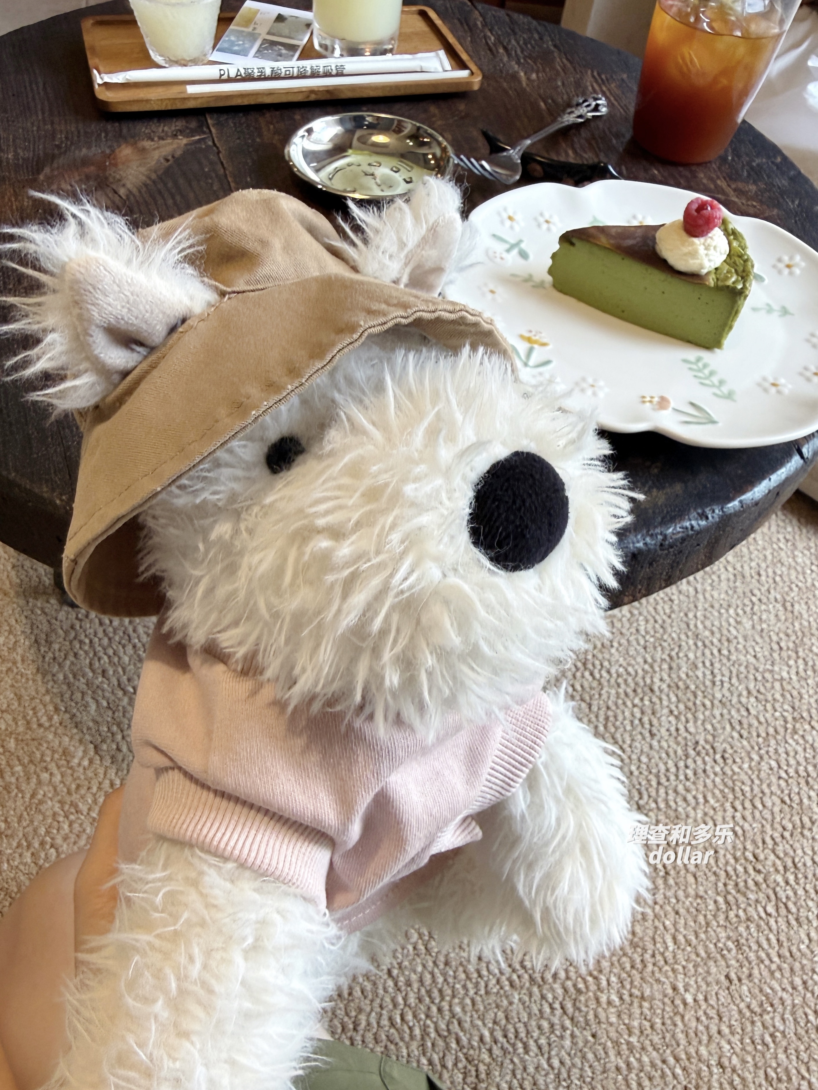 雪纳瑞衣服jellycat西高地衣服苏格兰梗狗狗帽子小型犬背心娃衣