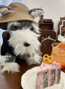 Jellycat娃衣雪纳瑞狗狗衣服帽子小型犬纯棉短袖衣服西高地衣服