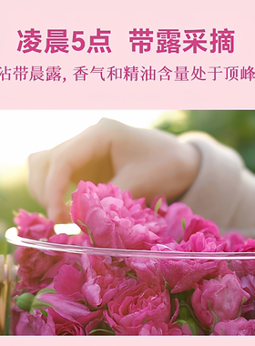 甘肃特产永登苦水玫瑰花茶玫瑰花冠茶重瓣苦水玫瑰女士精品养生茶