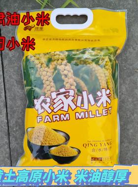 陇象农家小米精选黄油小米新米5斤养生小米粥五谷杂粮月子老人粥