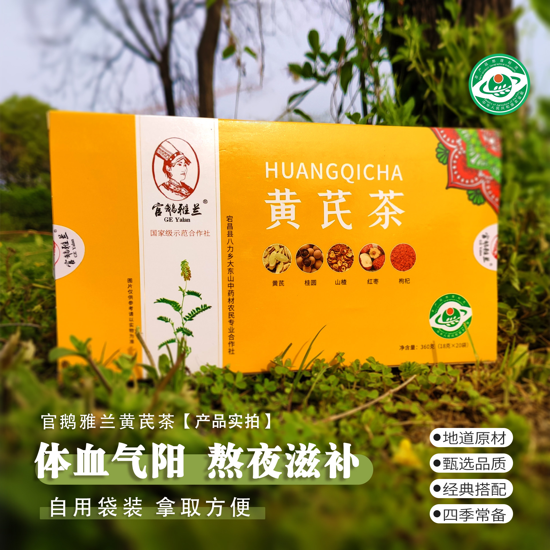 官鹅雅兰黄芪茶滋补养颜宕昌黄芪茶桂圆山楂红枣枸杞混合养生茶