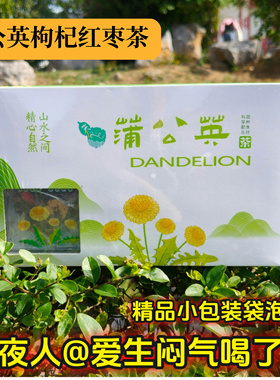 甘肃宕昌蒲公英根蒲公英叶枸杞红枣配方养生茶爱生气火气大喝了好
