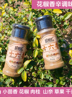 智鹏汇十六香香辛调料饺子馅调味八角小茴香花椒肉桂山奈30g*2瓶