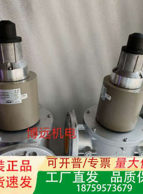 SG80FS/220施能慢开电磁阀SG65FS/220  S议价