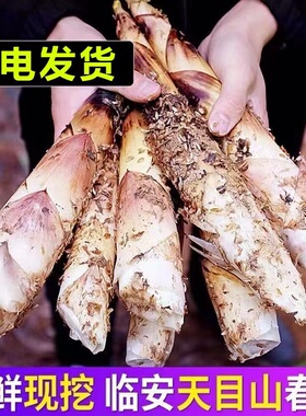 浙江临安发货新鲜雷笋现挖高山羊毛笋竹笋春笋农家5斤