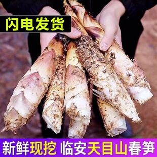 浙江临安发货新鲜雷笋现挖高山羊毛笋竹笋春笋农家5斤