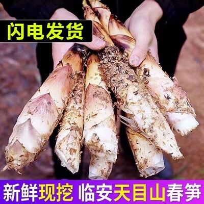 浙江临安发货新鲜雷笋现挖高山羊毛笋竹笋春笋农家5斤