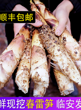 【顺丰发】浙江临安发货新鲜雷笋现挖高山羊毛笋竹笋春笋农家5斤