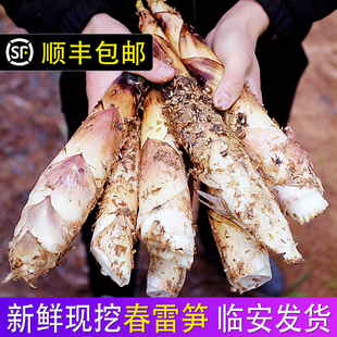 【顺丰发】浙江临安发货新鲜雷笋现挖高山羊毛笋竹笋春笋农家5斤