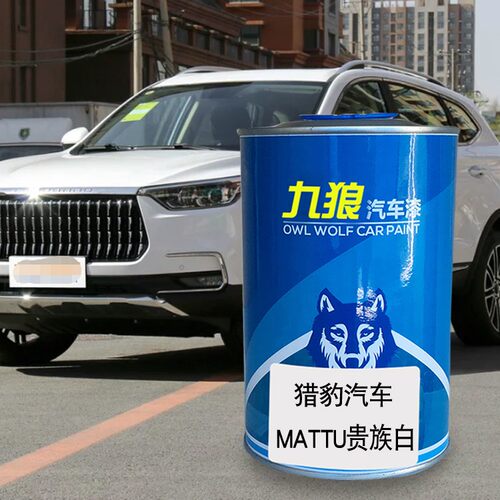 猎油漆豹汽车贵族白黑色