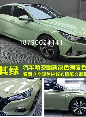 鹦鹉卡其绿调漆网红改色