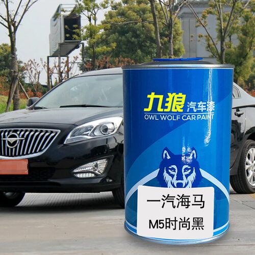 九狼海油漆马时尚黑极地白