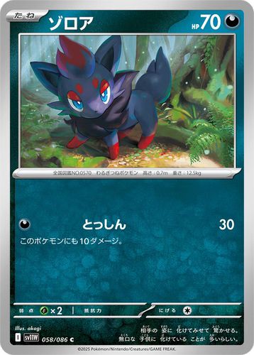 PTCG 宝可梦卡牌日版 SV11W 索罗亚 c