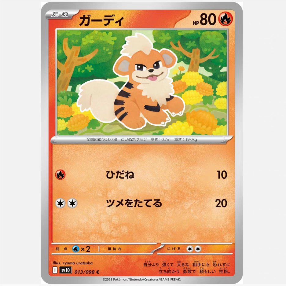 PTCG 宝可梦卡牌日版/繁中   SV10    卡蒂狗