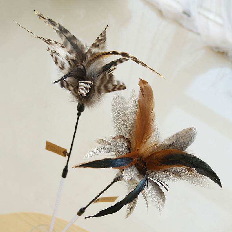 逗猫棒长杆原色羽毛猫玩具