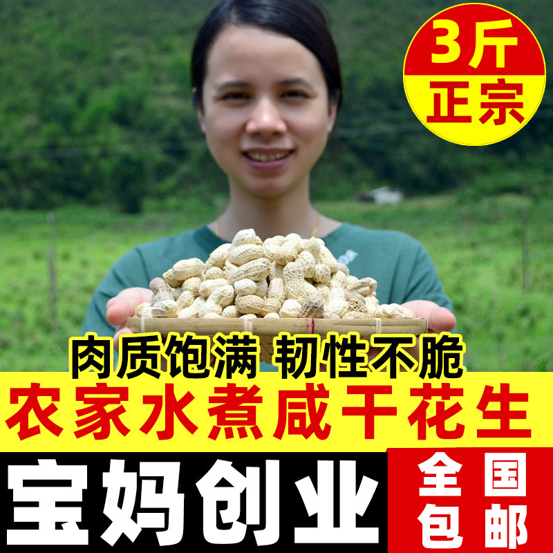 水煮花生农家带壳新鲜湿煮盐水原味白晒咸干散装白玉花生河源特产