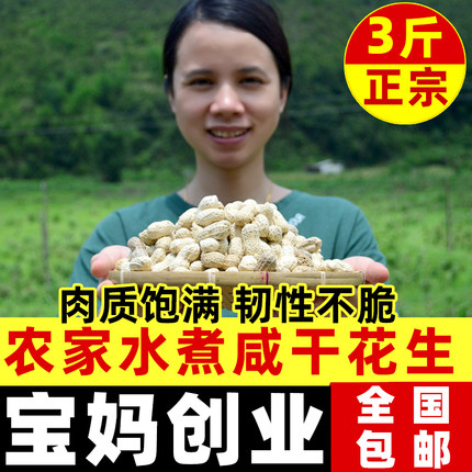 水煮花生农家带壳新鲜湿煮盐水原味白晒咸干散装白玉花生河源特产
