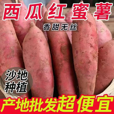 正宗西瓜红蜜薯红薯应当季农家自种红薯糖心板栗番薯新鲜山芋蔬菜