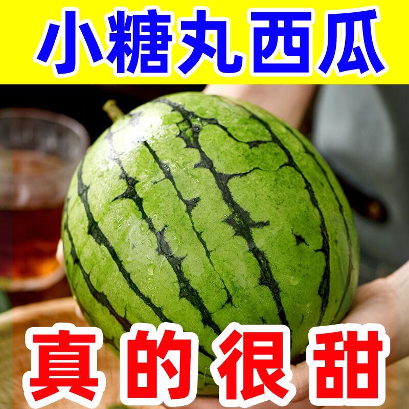 【头茬现摘】正宗小凤吊西瓜包甜冰淇淋薄皮西瓜脆甜应季新鲜整箱