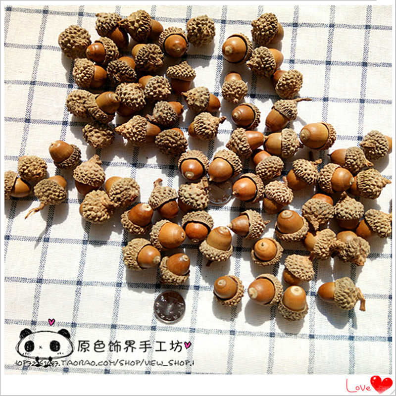 天然橡果 幼儿园成品 橡果实装饰道具橱窗摄影摆件吊坠冰河世纪