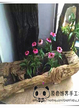 多肉植物原生态花盆朽木木
