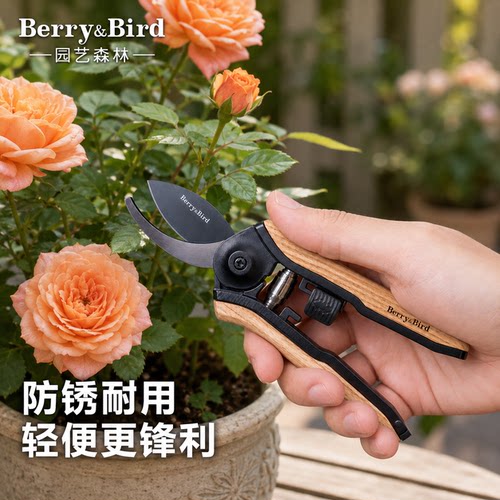 Berry&Bird/园艺森林修枝剪刀