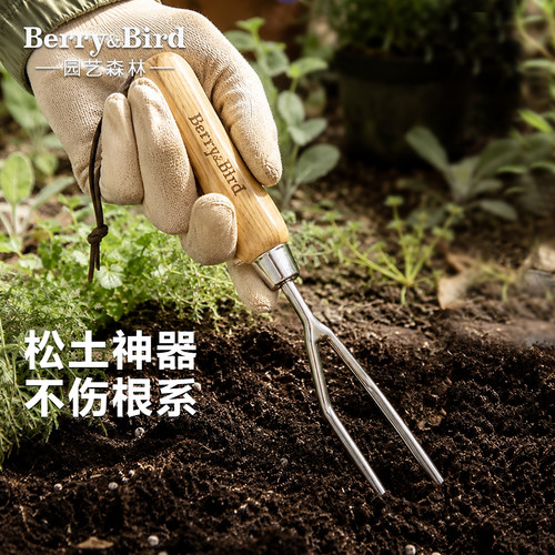 Berry&Bird园艺工具二齿手叉不锈钢花园松土破土盆栽移植双齿叉子