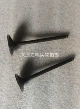 力帆原厂配件LF200-10L 10P 3B 10R KPT KPM KPS200 进气门排气门