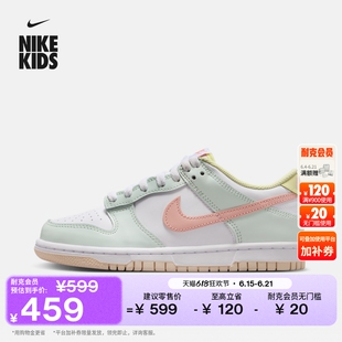 耐克大童平底运动鞋夏季新款男女童胶底低帮板鞋NIKE DUNK IV2861