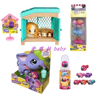 孵蛋小鸡 美版 Pets录音小鸟 Live 宠物鱼树懒仓鼠动物玩具 Little