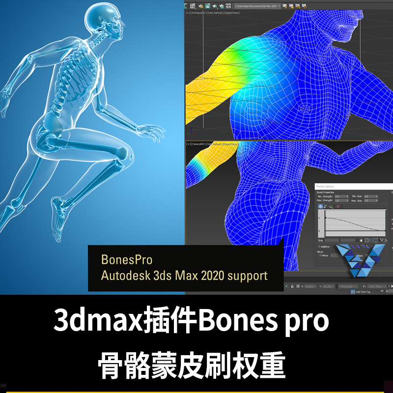 3dmax插件Bonespro蒙皮刷权重Bones pro中文汉化版支持2010~2020