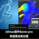 2020 pro中文汉化版 支持2010 3dmax插件Bonespro蒙皮刷权重Bones