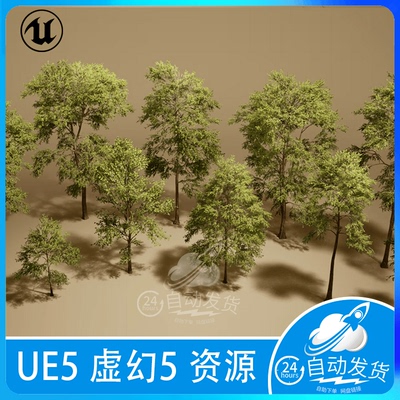 UE5 虚幻Foliage VOL.7 Ash Trees 白蜡树桦树绿植树木树林植物