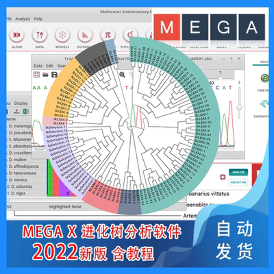 MEGA MEGA X 2023软件生信进化树分析工具 送视频教程支持win+mac