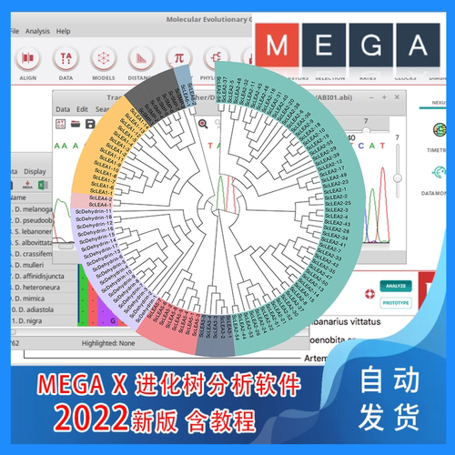 MEGA 11 软件生信进化树序列对比分析工具 送视频教程支持win+mac