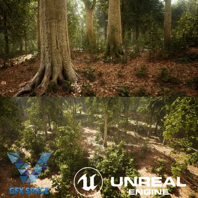 ue5虚幻 森林树林丛林地貌场景MW Broadleaf Trees Forest Biome