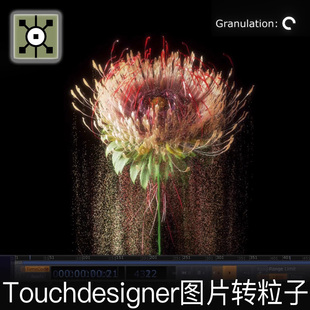 Touchdesigner工程 图像砂化图片转粒子散落互动键盘交互TD源文件
