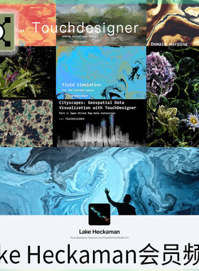 Lake Heckaman 23-25年会员订阅P站Touchdesigner教程+工程包更新